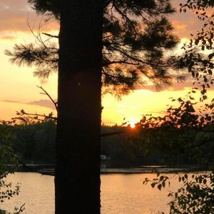 Meet your Posher, Lucie